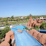 Oasis